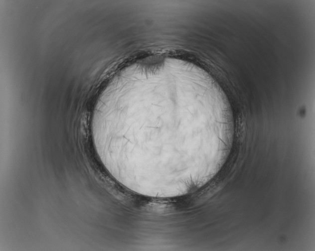 X0000116020280200912111359