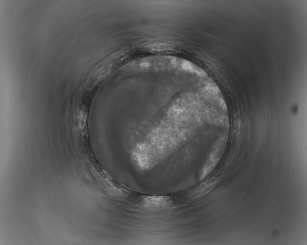 X0000116020281200912111359