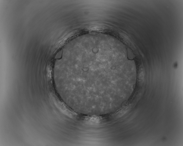 X0000116020282200912111359