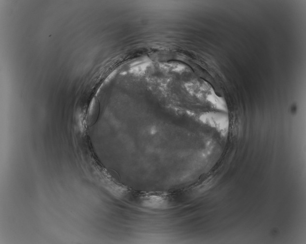 X0000116020285200912111359