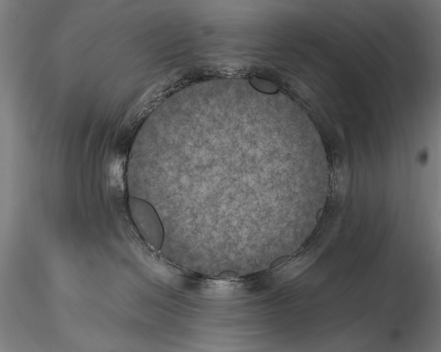 X0000116020286200912111359