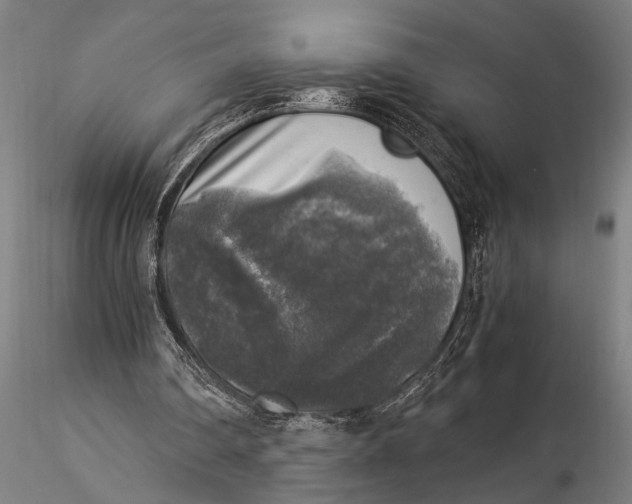 X0000116020290200912111358