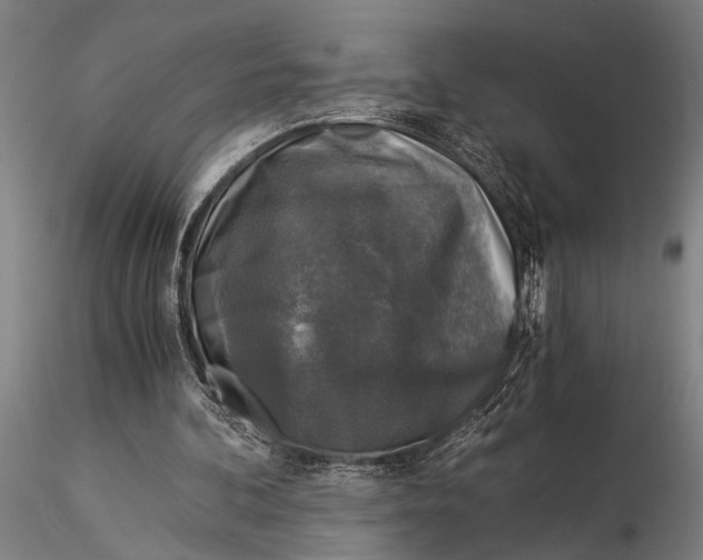 X0000116020292200912111358