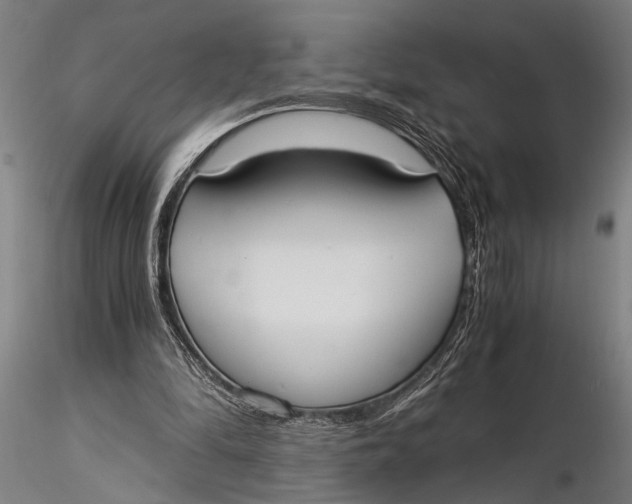 X0000116020294200912111358