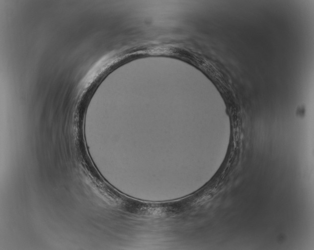 X0000116020295200912111358