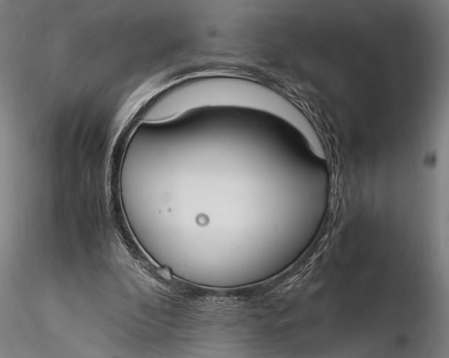 X0000116020296200912111358