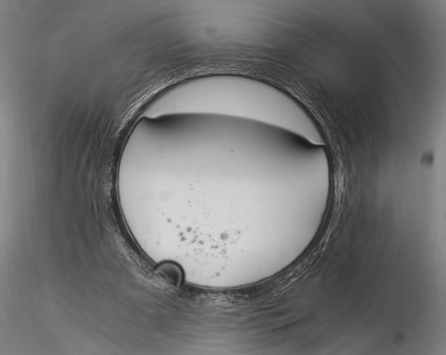 X0000116020297200912111358