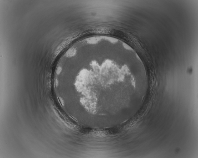 X0000116020299200912111358