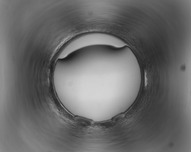 X0000116020300200912111358