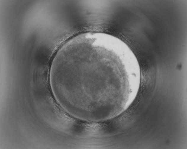 X0000116020301200912111358