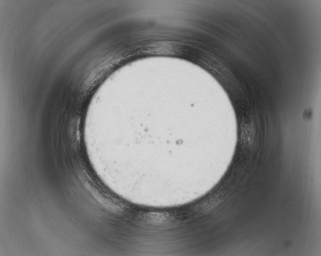 X0000116020302200912111358