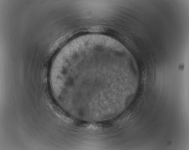 X0000116020303200912111358