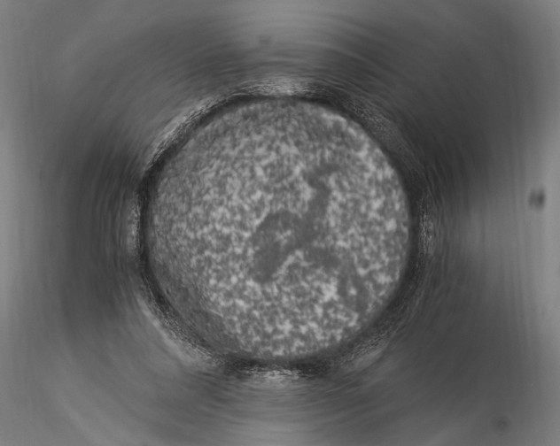 X0000116020304200912111358