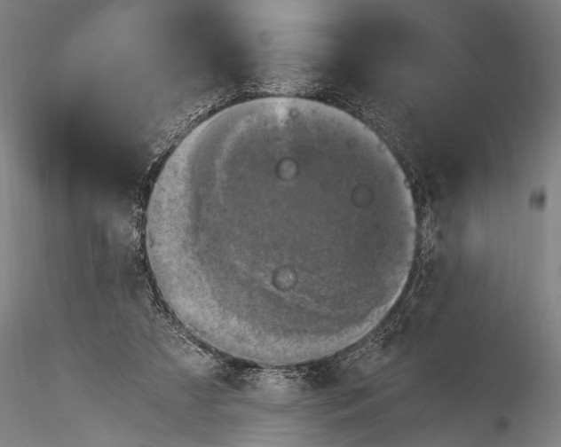 X0000116020305200912111358