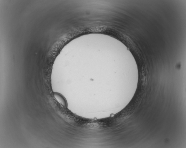 X0000116020307200912111358