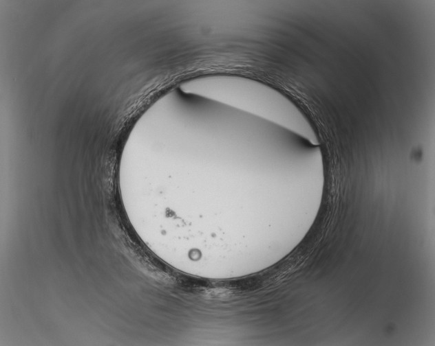 X0000116020309200912111358