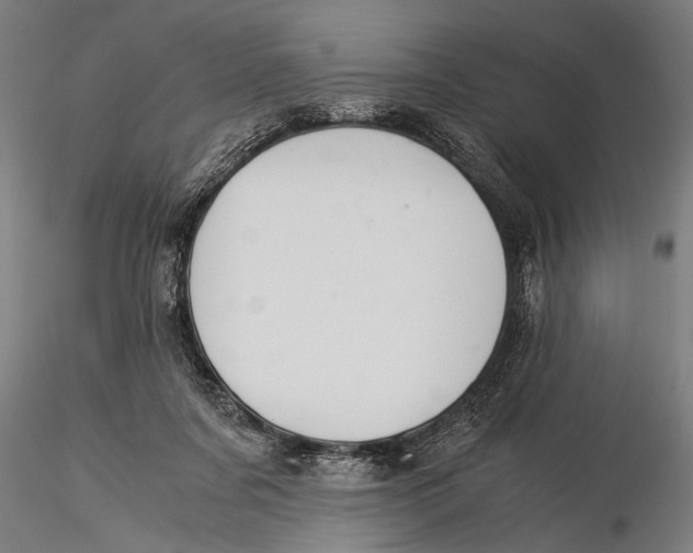 X0000116020311200912111358