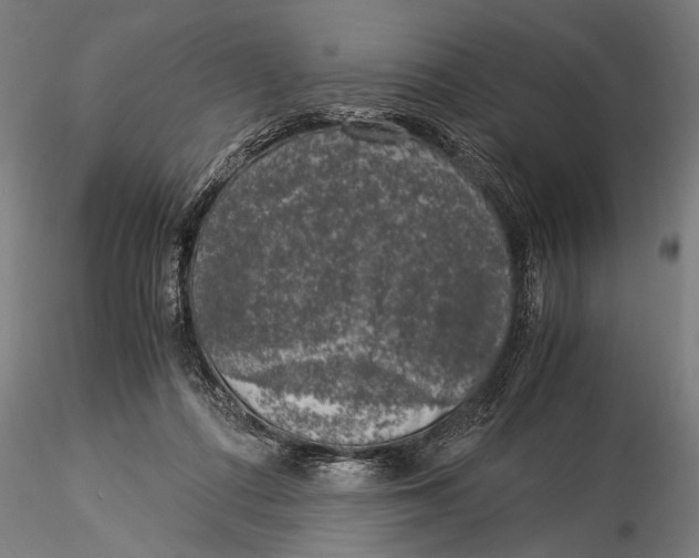 X0000116020312200912111358