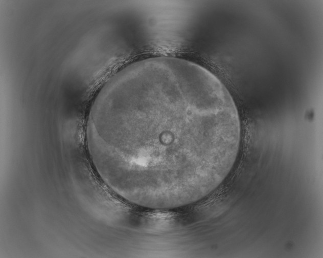 X0000116020313200912111358