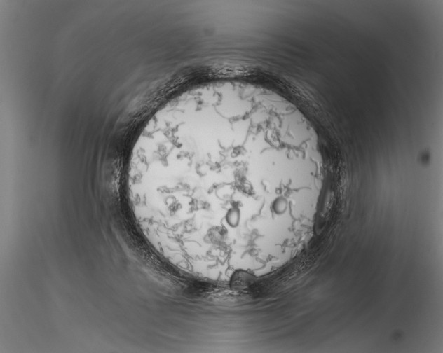 X0000116020315200912111358