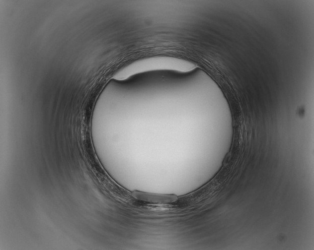 X0000116020316200912111358