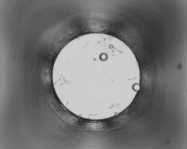 X0000116020317200912111358