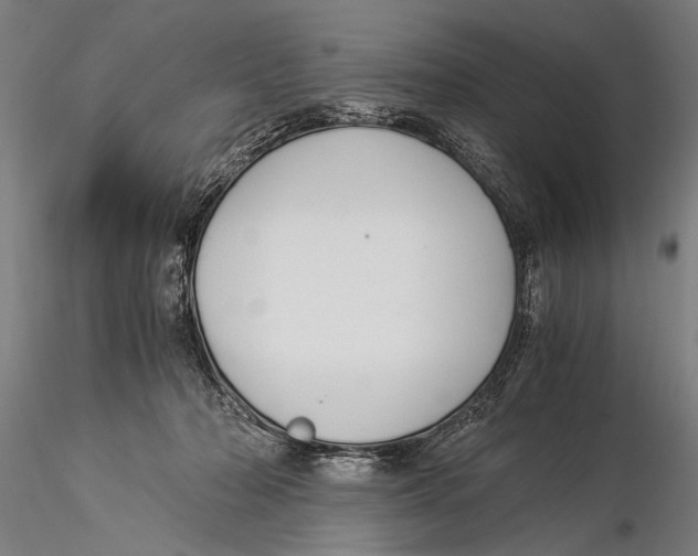 X0000116020318200912111358