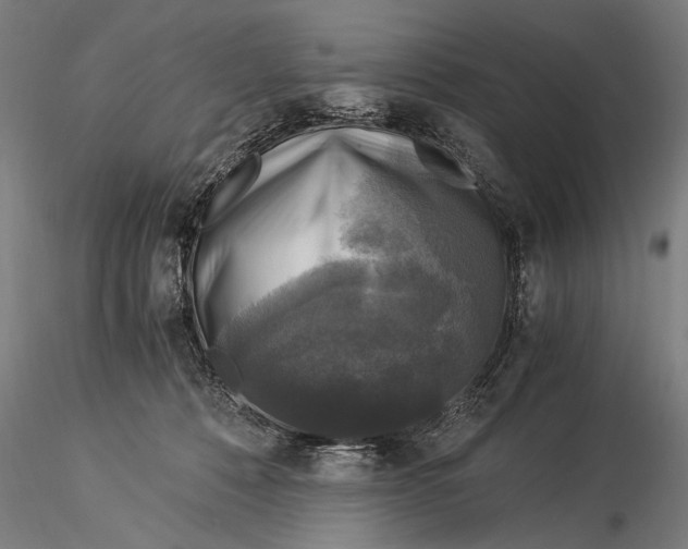 X0000116020320200912111358