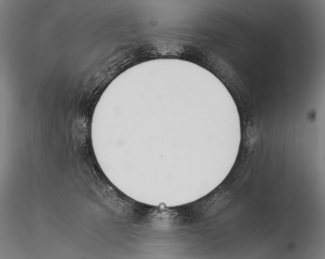 X0000116020321200912111358