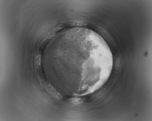 X0000116020326200912111358