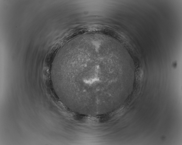 X0000116020327200912111358