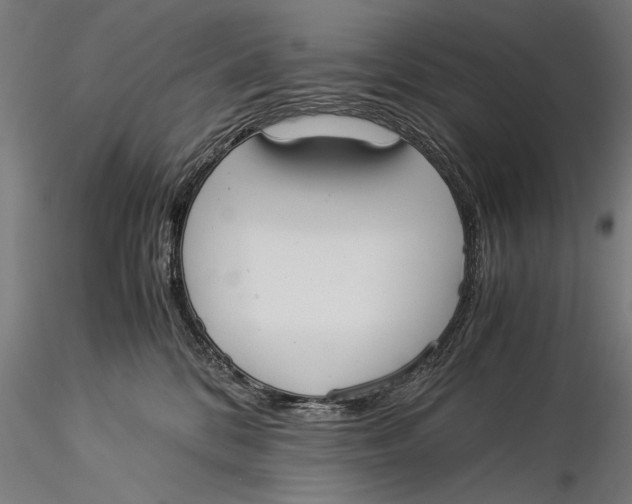 X0000116020328200912111358