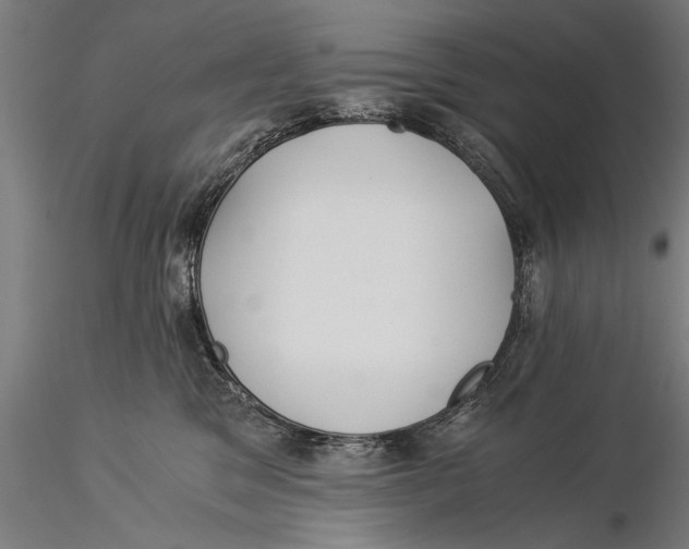 X0000116020329200912111358