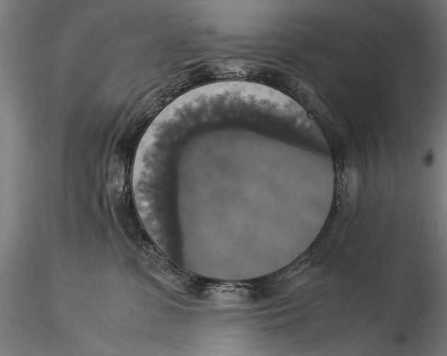 X0000116020331200912111358