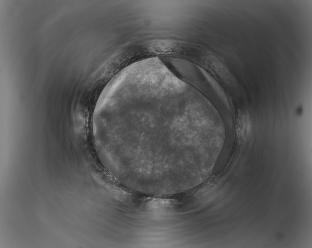 X0000116020332200912111358