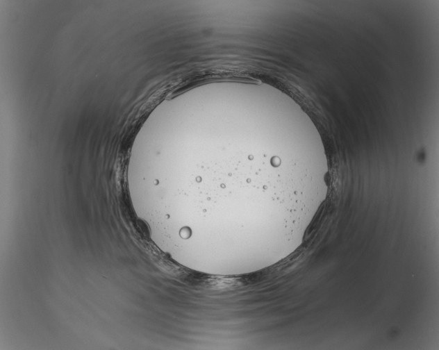 X0000116020333200912111358