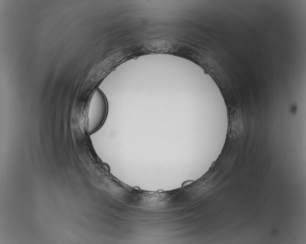 X0000116020334200912111358