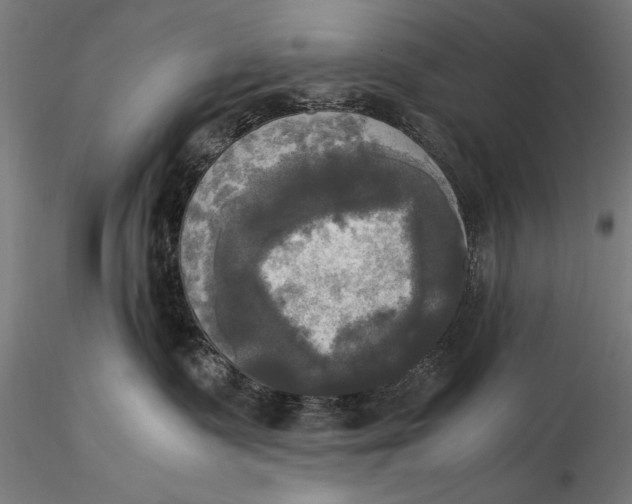 X0000116020335200912111358