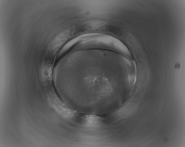 X0000116020336200912111358