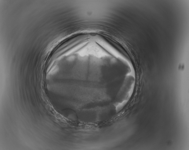 X0000116020337200912111357