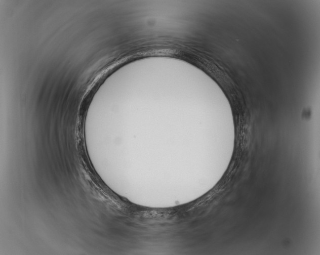 X0000116020338200912111357