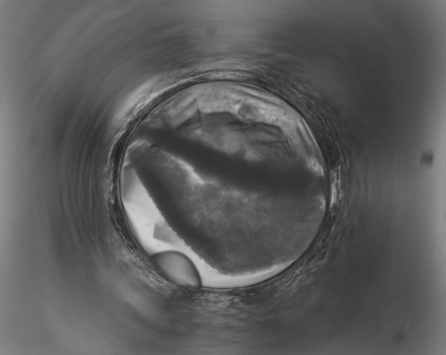 X0000116020339200912111357