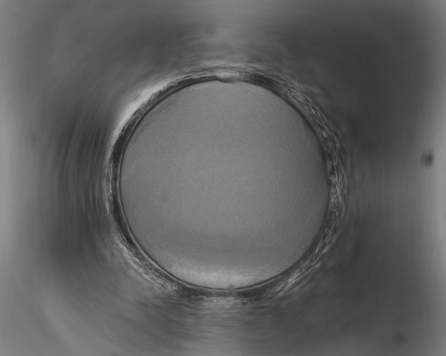 X0000116020342200912111357