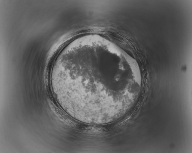 X0000116020343200912111357