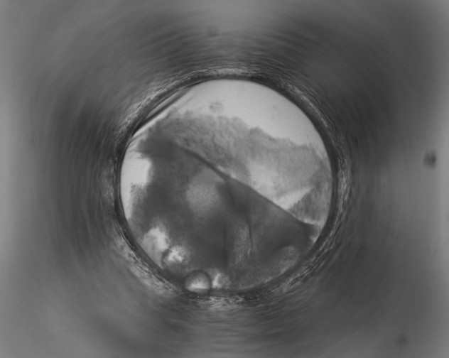 X0000116020345200912111357