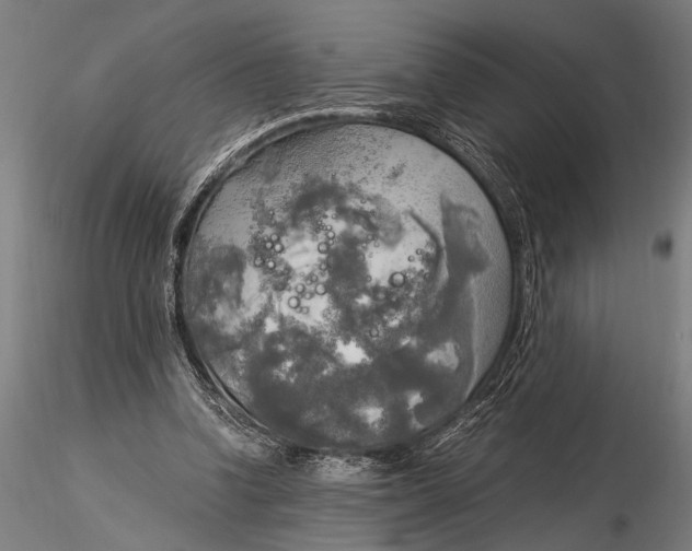 X0000116020346200912111357