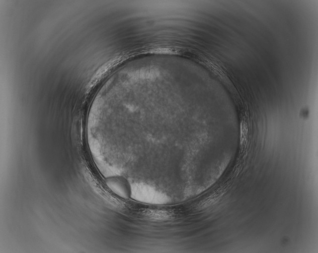 X0000116020349200912111357