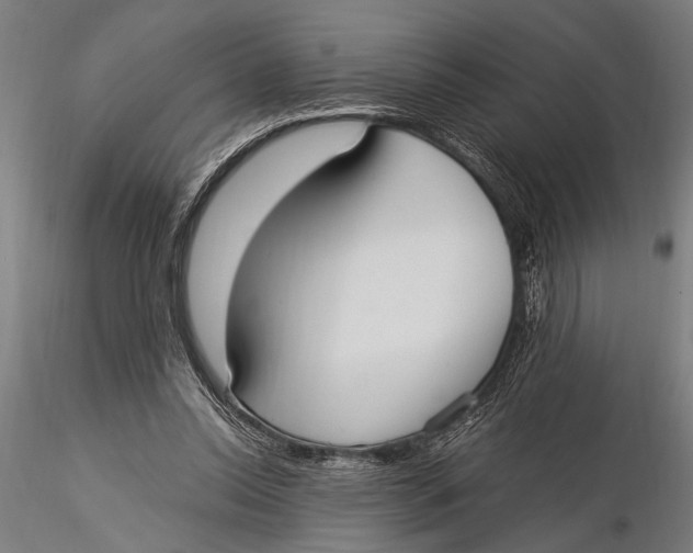 X0000116020350200912111357