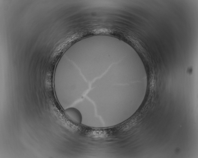 X0000116020353200912111357