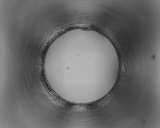 X0000116020354200912111357